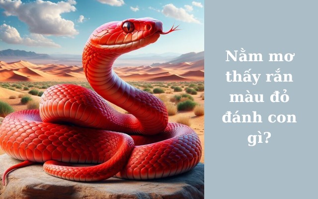 Nằm mơ thấy rắn màu đỏ đánh con gì? Gợi ý con số may mắn