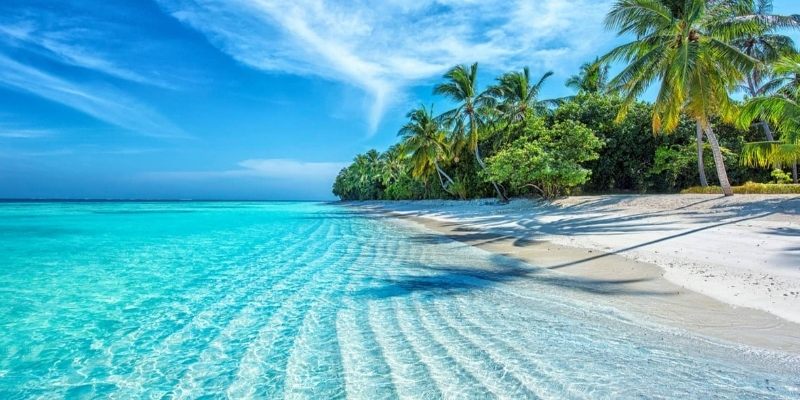 Giấc mơ thấy nước thường đem đến sự yên bình
